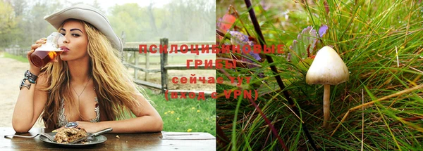 мдпв Россошь