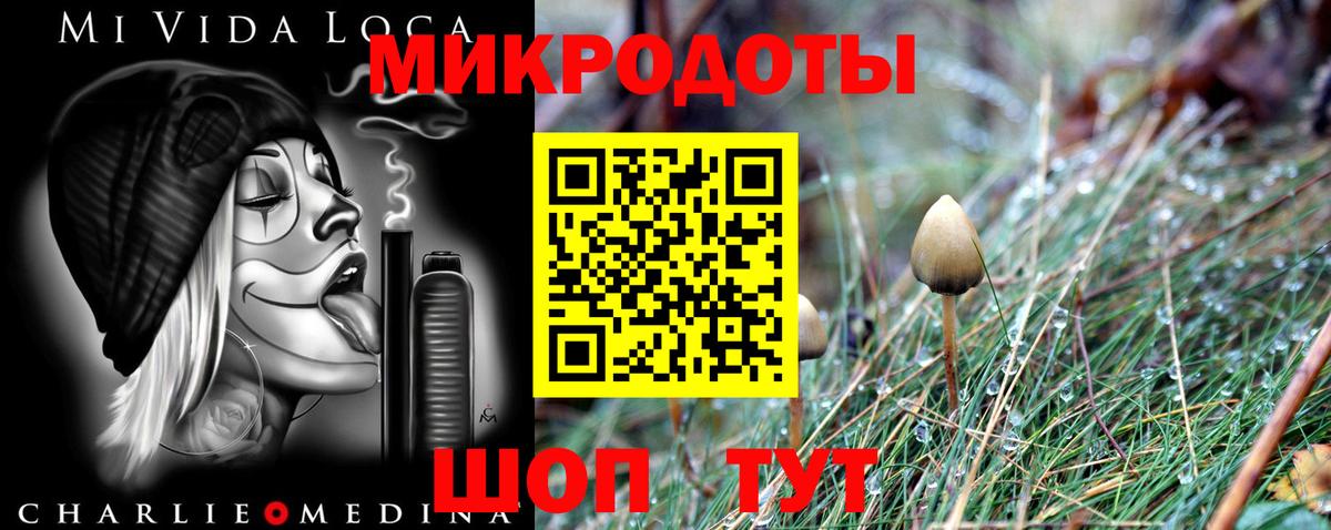 Псилоцибиновые грибы ЛСД Вичуга