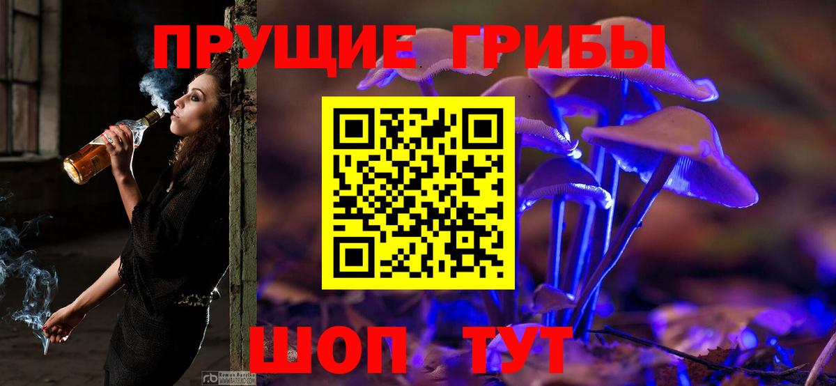 Галлюциногенные грибы MAGIC MUSHROOMS  Вход с VPN  Псилоцибиновые грибы мухоморы  Вичуга 