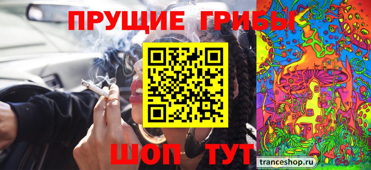 Псилоцибиновые грибы Magic Shrooms  где можно купить наркотик  Вичуга 