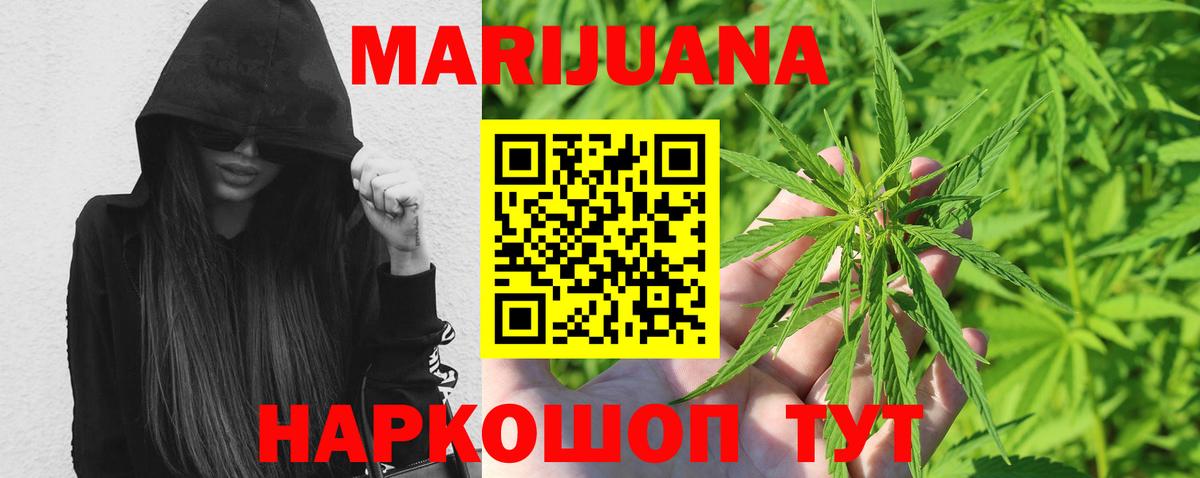 Бошки Шишки планчик Вичуга